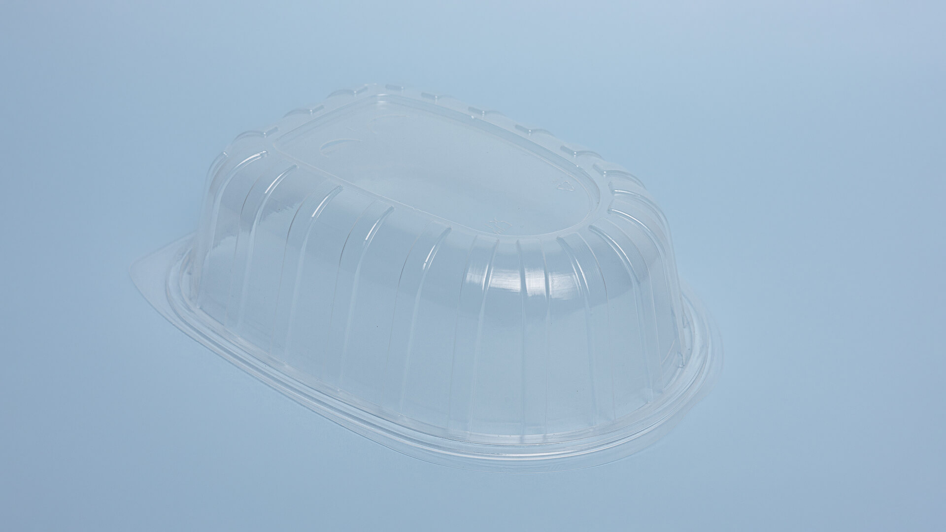 Capac caserole pui gril FT651