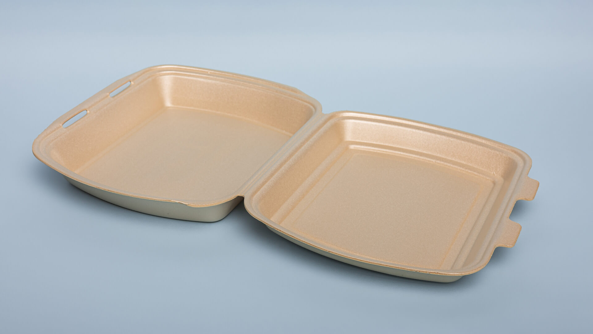 Caserole BFG XPS MB1