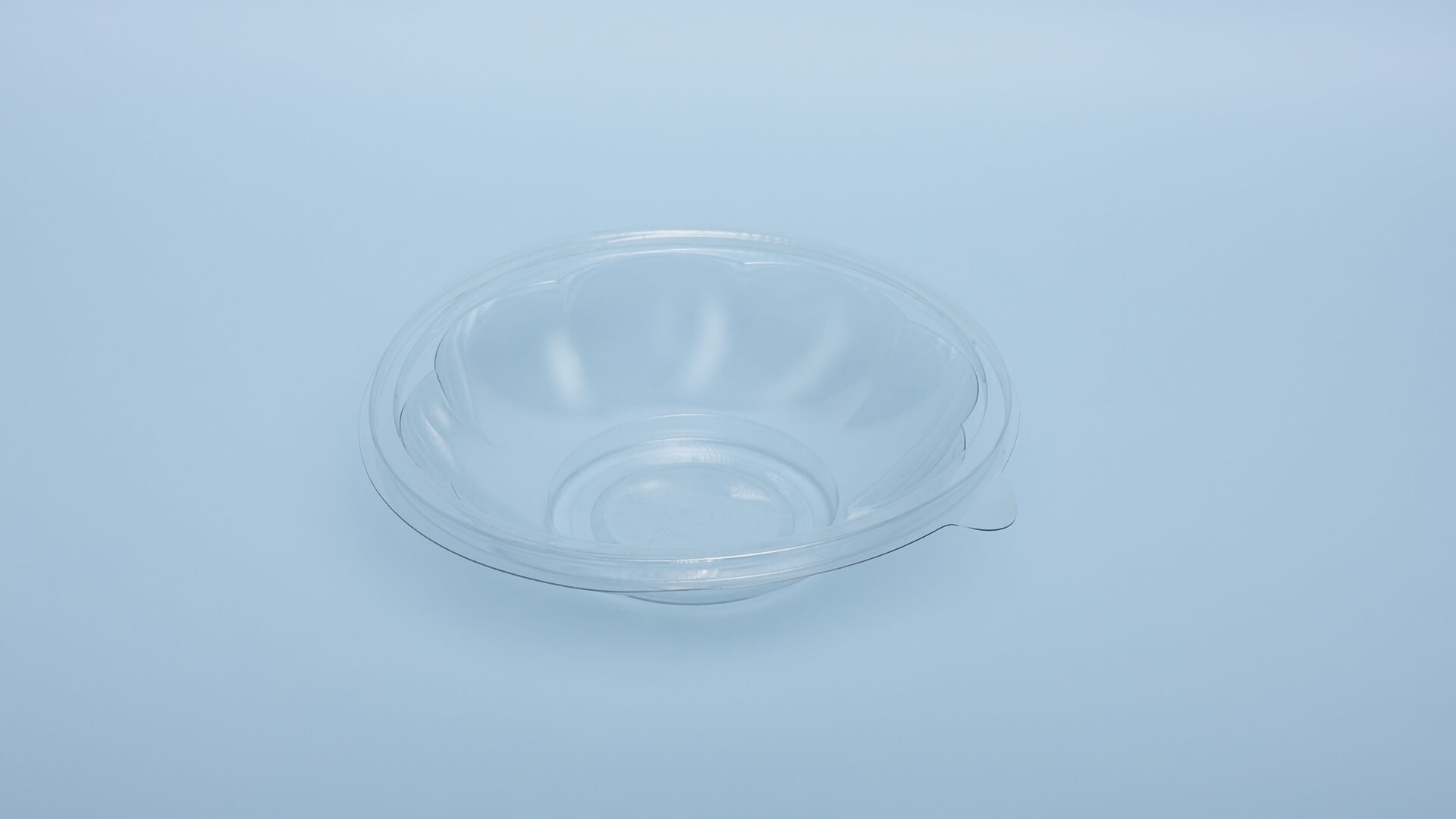 Caserole PET L - 305 (500 g)