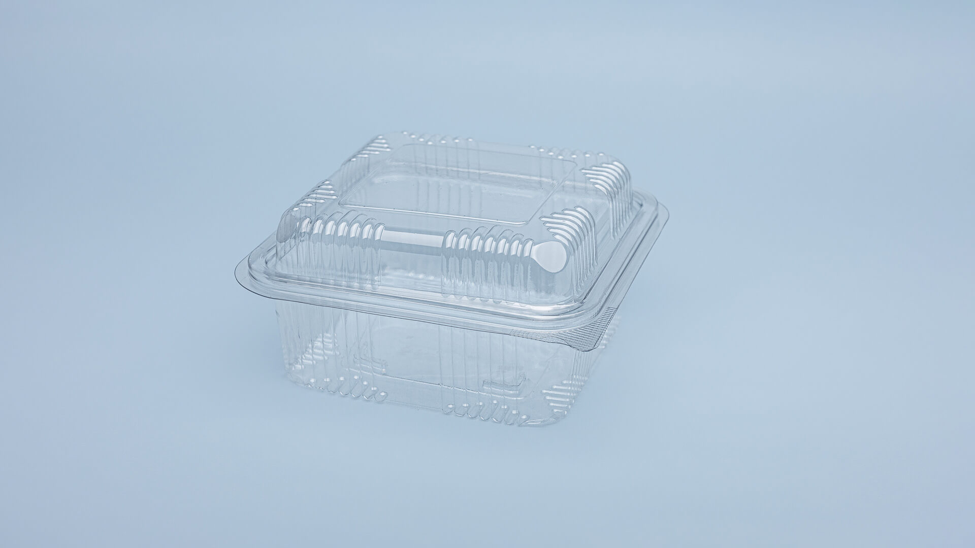 Caserole PET L - 090 (600 g)