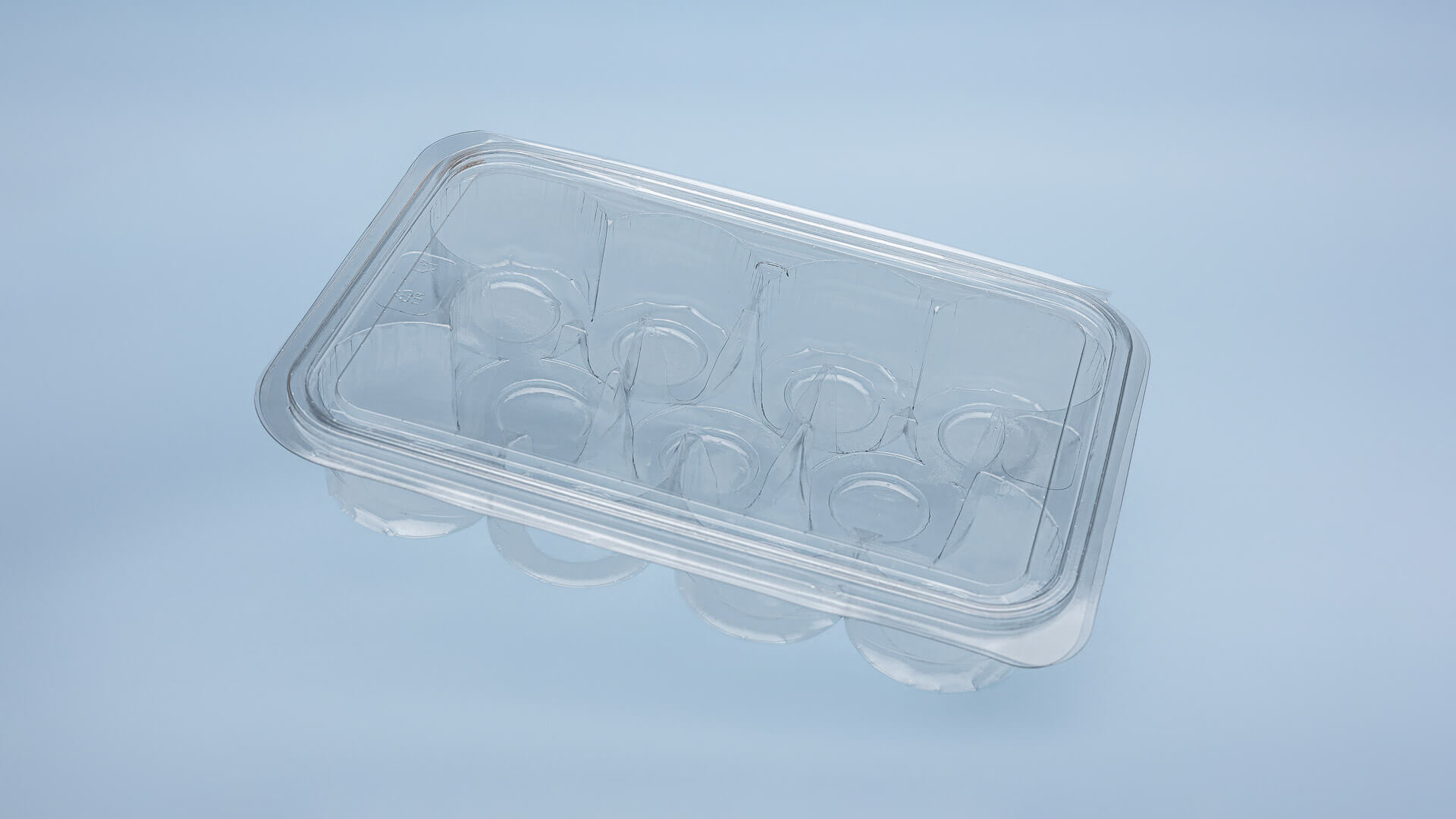 Caserole PET L - 066 (11 compartimente rotunde)