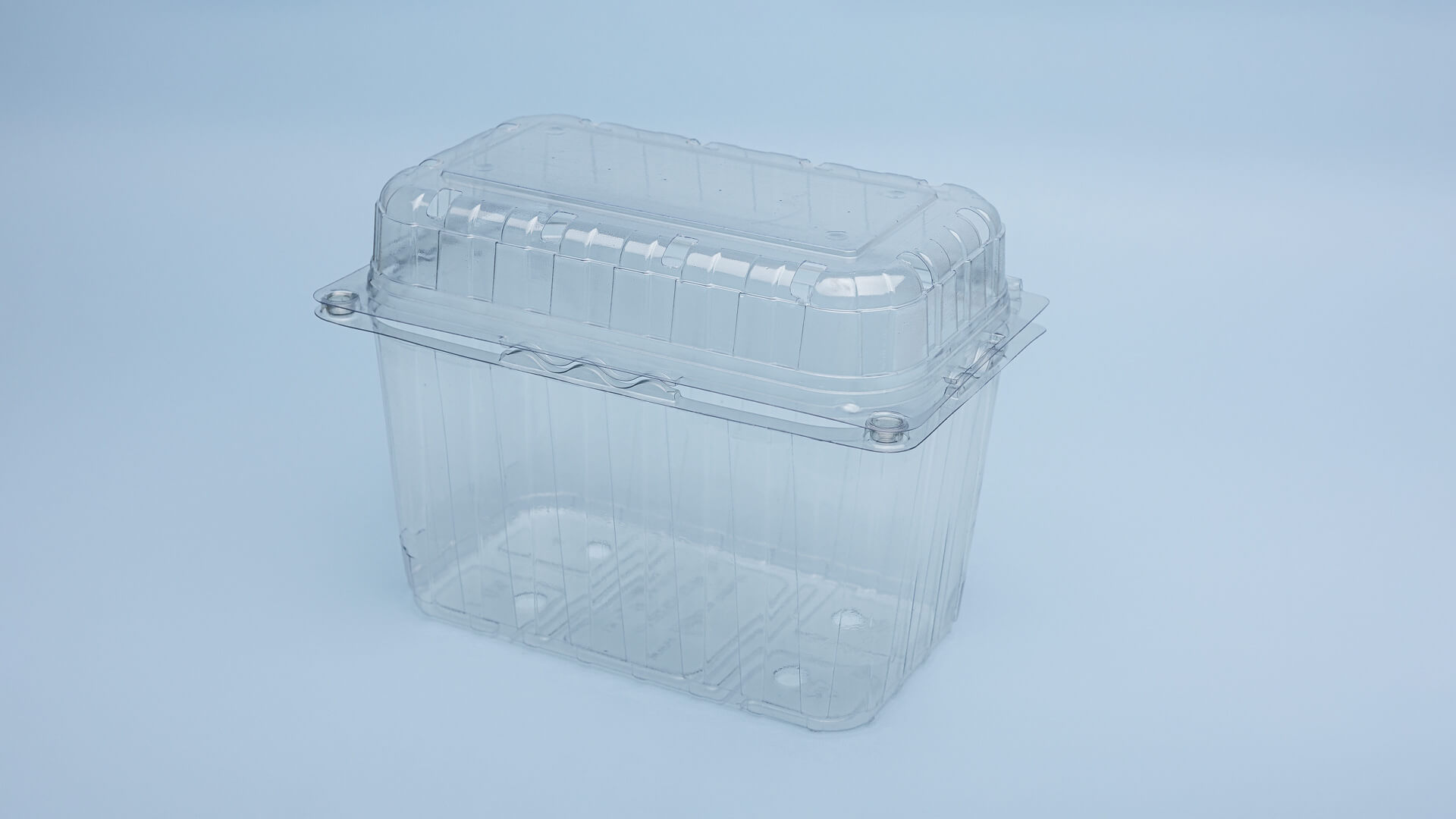 Caserole PET L - 016 (1000 g)